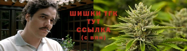 метадон Каменногорск