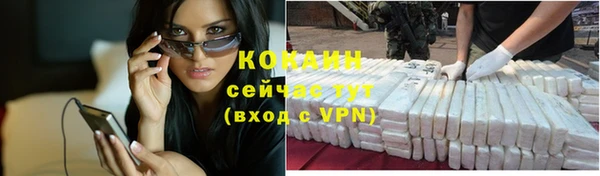 спайс Каменка