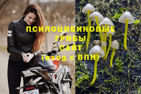 метадон Каменногорск
