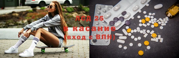 спайс Каменка