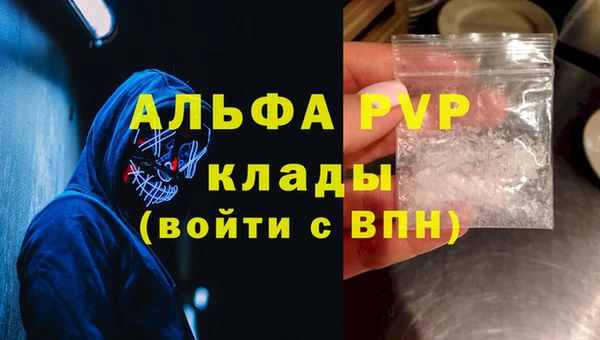 спайс Каменка