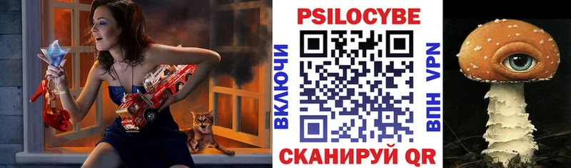 Галлюциногенные грибы GOLDEN TEACHER  Купить где  Кингисепп 